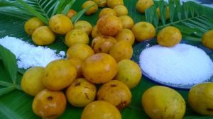 Fruta de Cedro