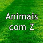 Animais com Z