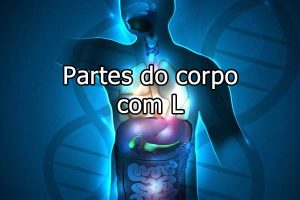 Partes do Corpo com L – Museu Língua Portuguesa