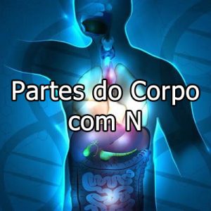 Partes do Corpo com M