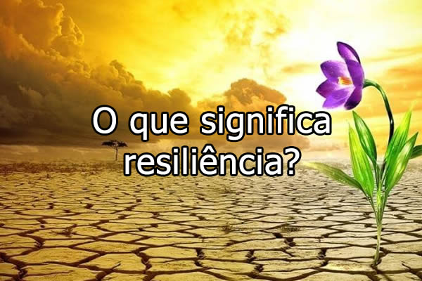 Significado portugues resiliente 
