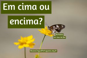 Em cima ou encima? Borboleta em cima da flor