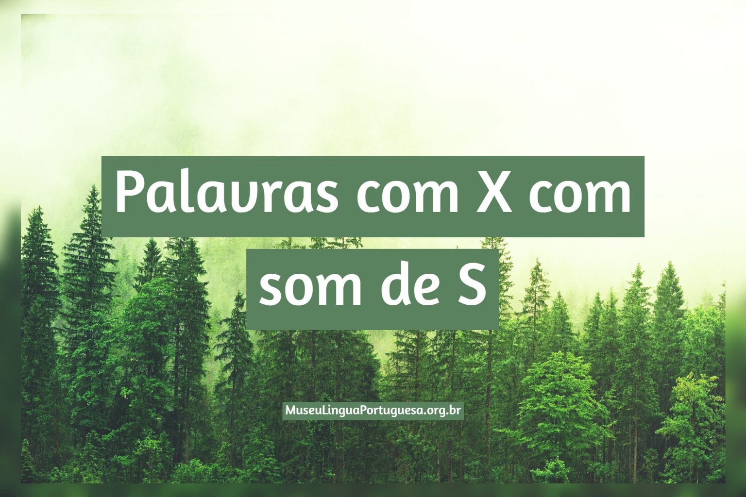 Dê Exemplos De Palavras Com X Com Som De Sc