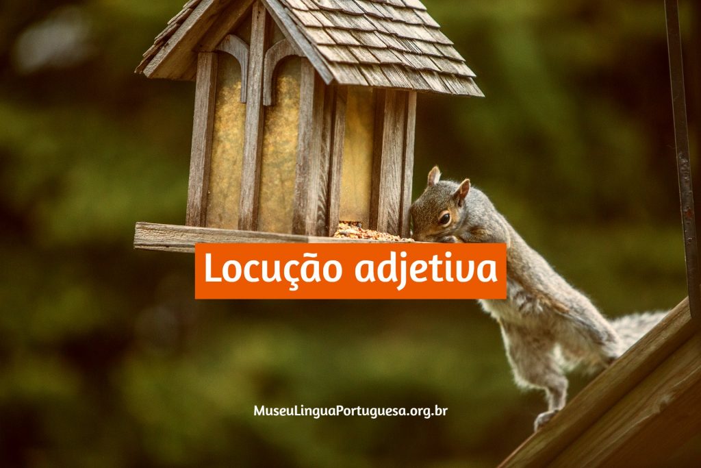 Elogios com a Letra I
