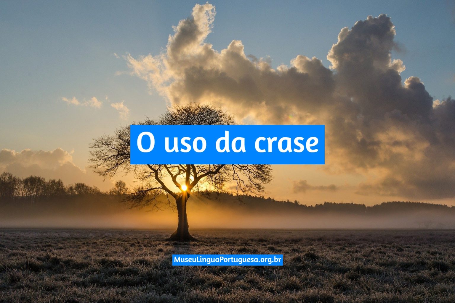 Janeiro A Dezembro Tem Crase - RETOEDU