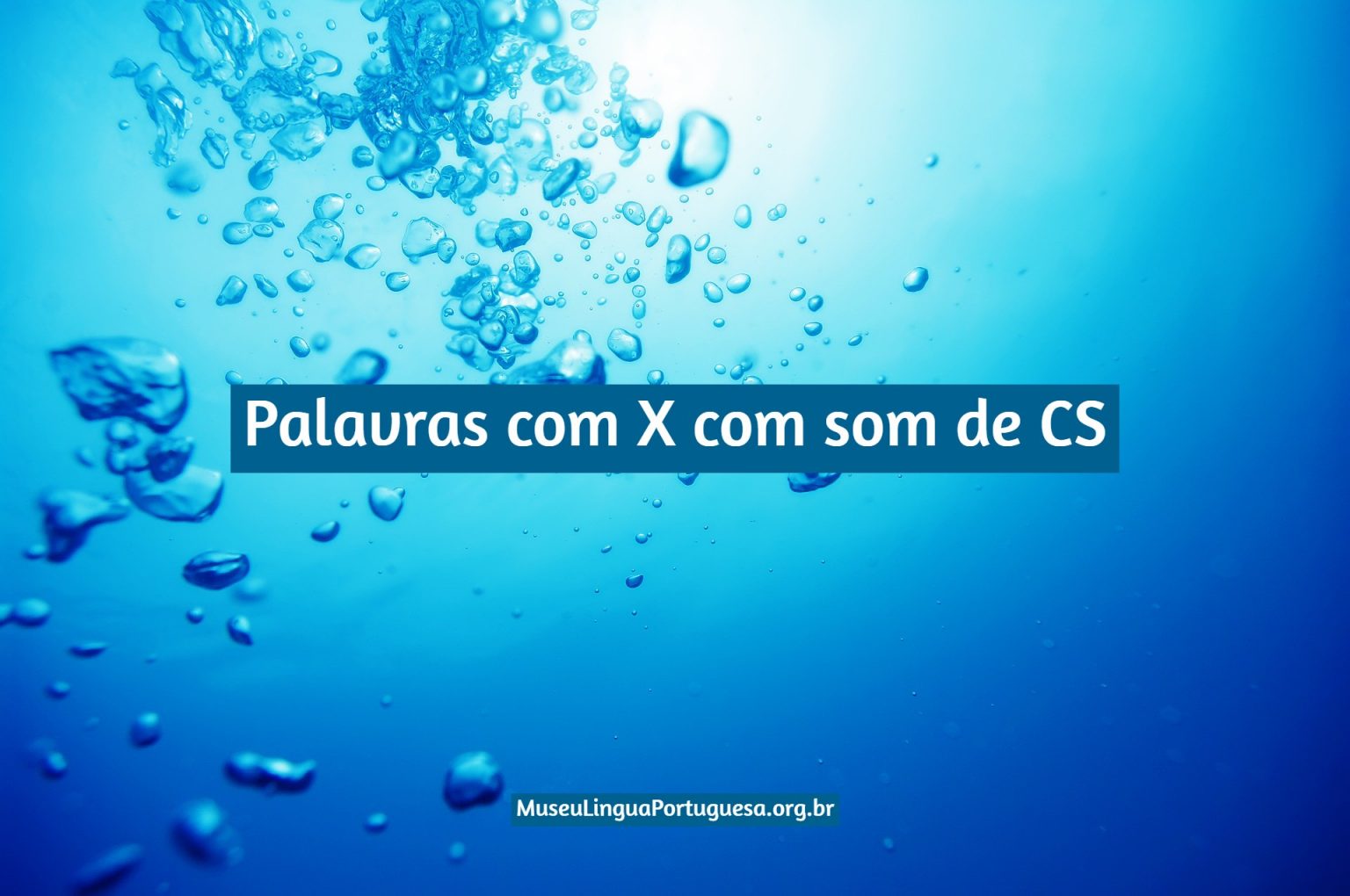 Palavras com X com som de CS