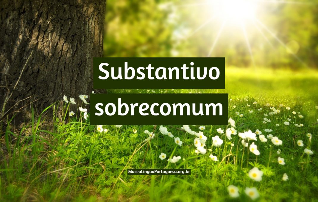 O único Substantivo Que Não é Sobrecomum é: - BRAINCP