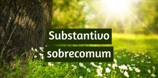 Substantivo sobrecomum