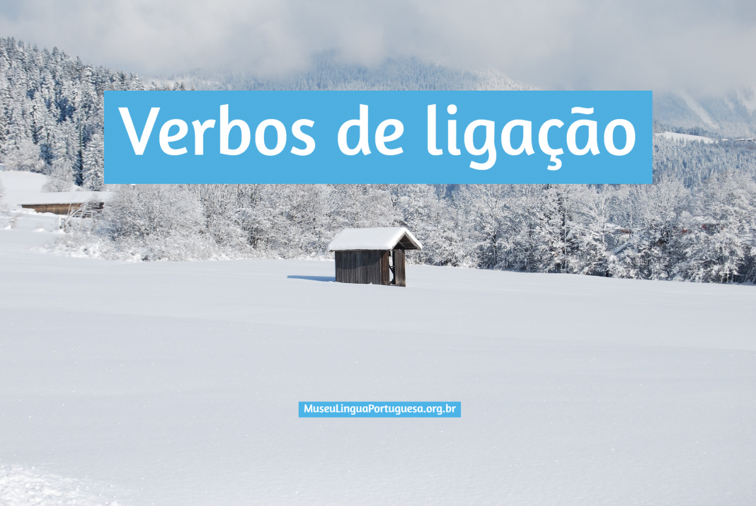 Verbos De Ligação Museu Língua Portuguesa 6414