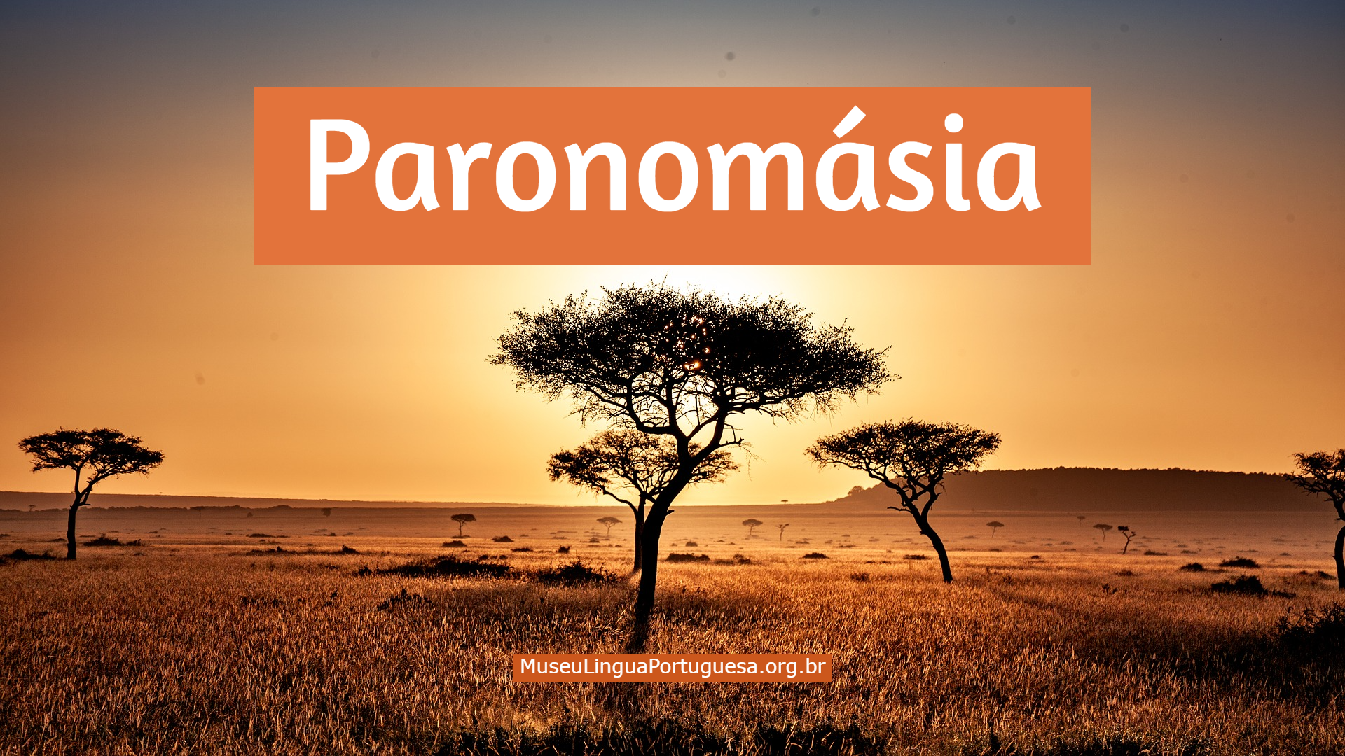 Paranomásia ou paronomásia é a - Língua Portuguesa