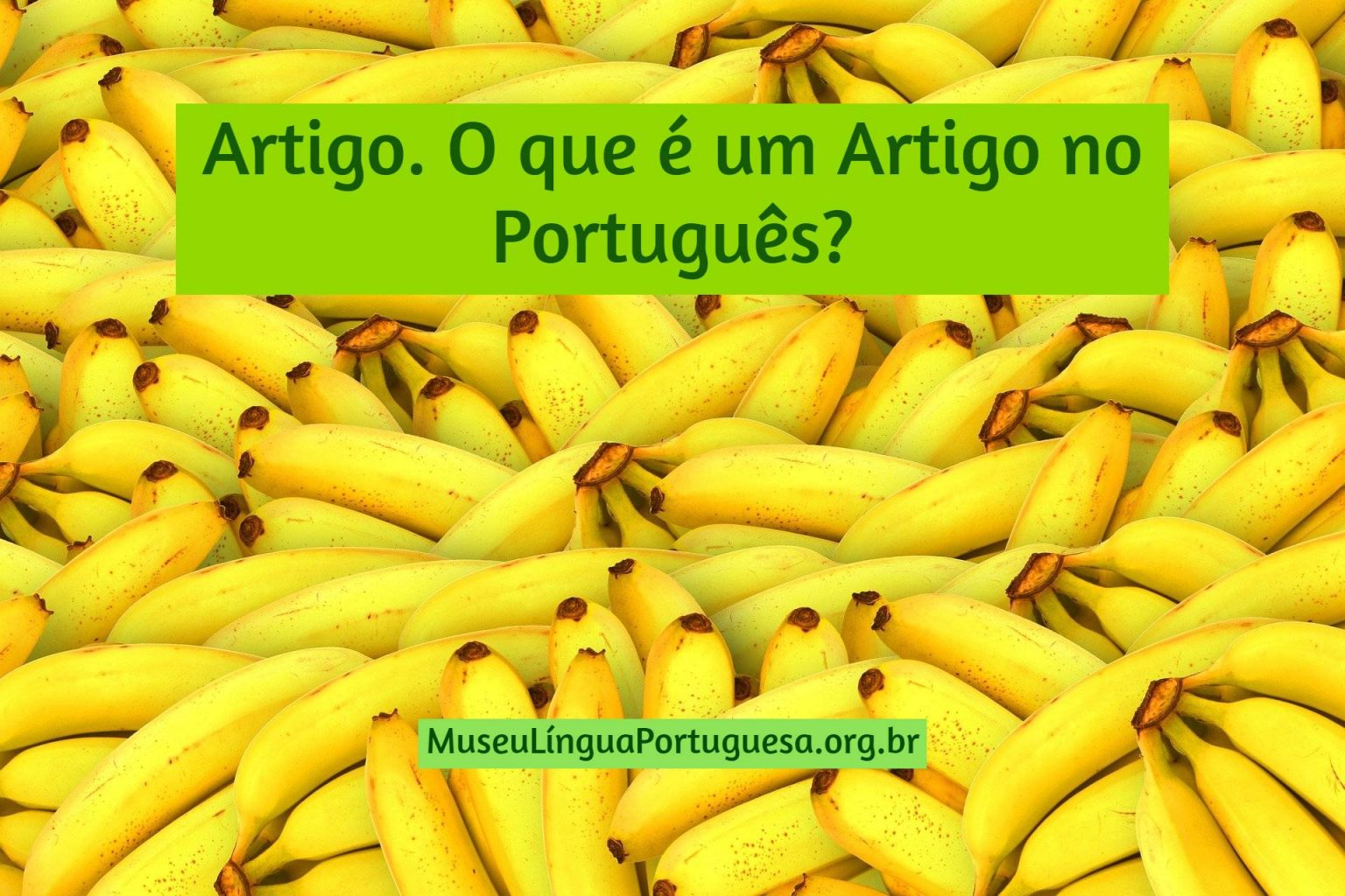 O Que É Artigo Na Lingua Portuguesa Exemplo